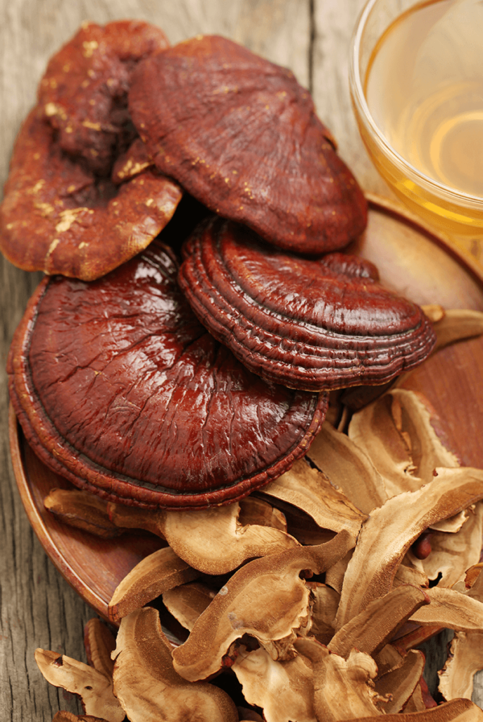 Reishi mushroom tea